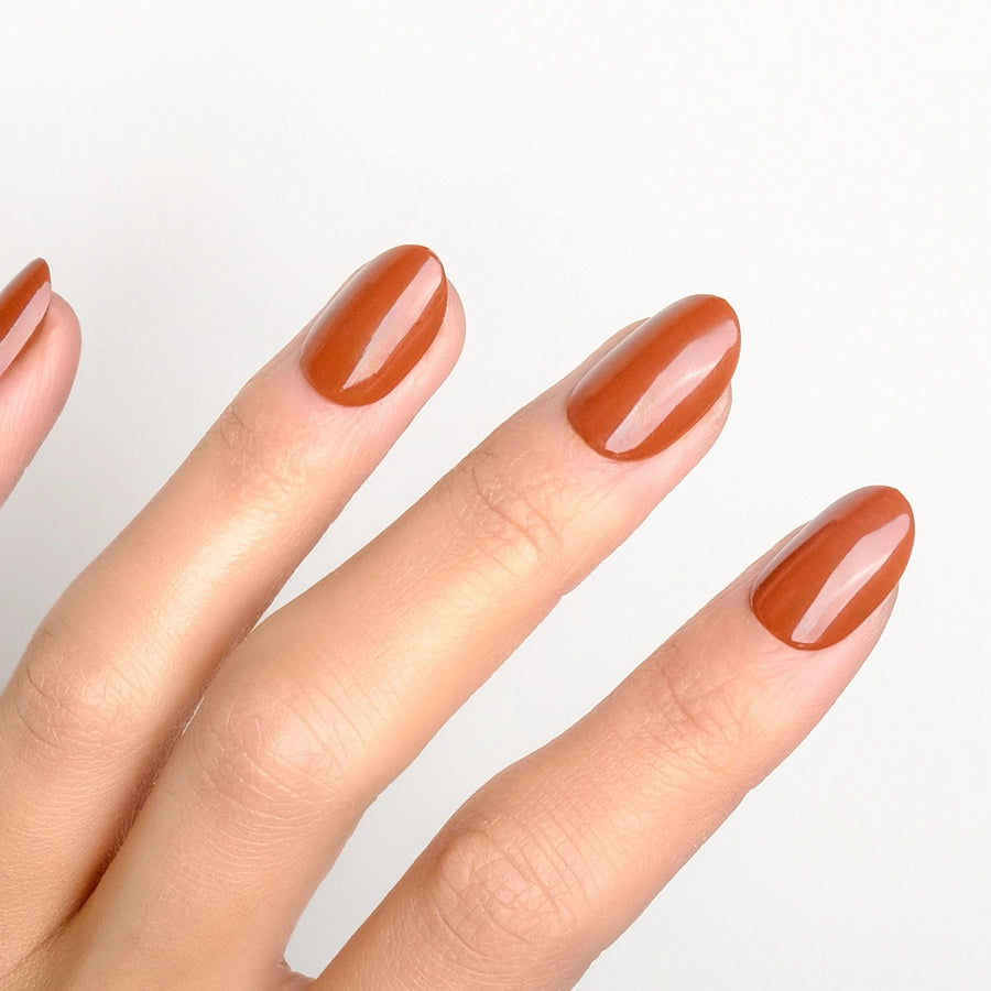 Pumpkin Spice Press on nail Kit avec Colle