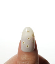 Daisy Press on nail Kit avec Colle